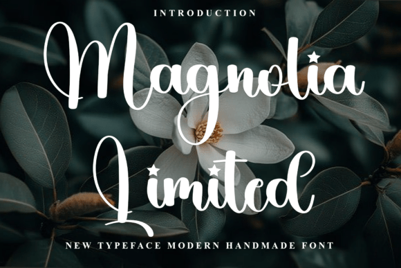 Magnolia Limited: A Festive Script for Holiday Branding